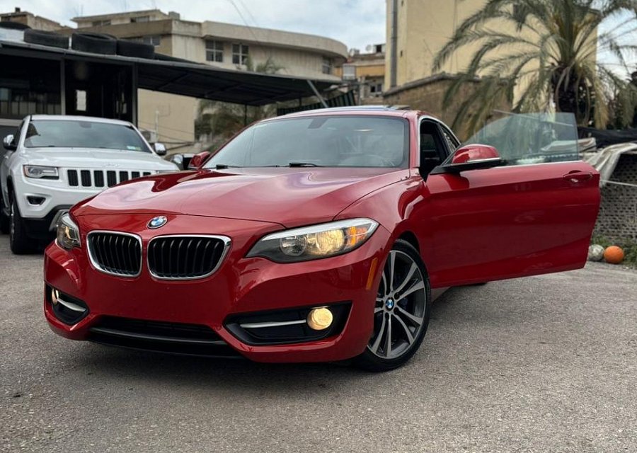 BMW SERIES 2 228i 2016